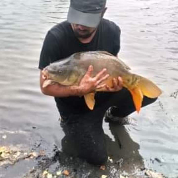 Profil de Bilale, 37 ans, Libertine à Minton