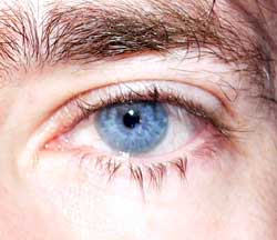 Profil de Silvain, 55 ans, Libertine à Lampman