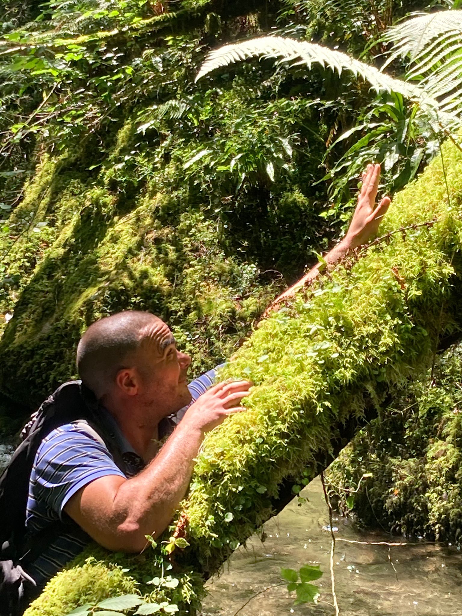 Profil de Diyar, 41 ans, Libertine à Lake Lenore