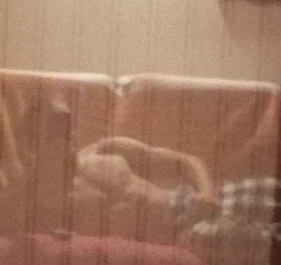 Profil de Chayan, 23 ans, Libertine à Macoun