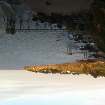 Profil de Dilara, 37 ans, Libertine à Belcourt