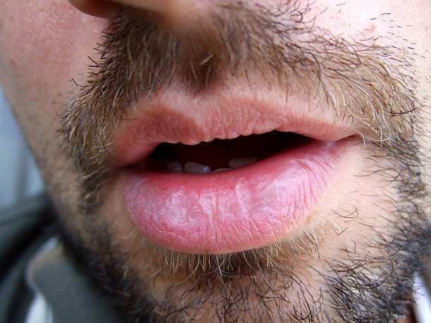 Profil de Wakil, 30 ans, Libertine à Beausejour